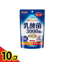 【送料無料!(地域限定)】山本漢方 乳酸菌粒 90粒 10個セット
