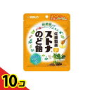 【送料無料!(地域限定)】佐藤製薬 ストナのど飴 60g 10個セット