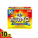 【送料無料!(地域限定)】ホッカイロ 貼るタイプ レギュラー 30個入 10個セット