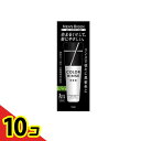 【送料無料!(地域限定)】メンズビゲン カラーリンス トリプルプラス(+++) ナチュラルブラック 120g 10個セット