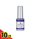 【送料無料!(地域限定)】KOKOIST(ココイスト) ブリーディングインク BI-04 パープル 5mL 10個セット