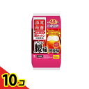 【送料無料!(地域限定)】小林製薬 血流改善 腰ホットン 10枚入 10個セット