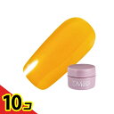 【送料無料!(地域限定)】PREGEL(プリジェル) ミューズ S210 クリアハニー 3g 10個セット