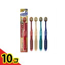 【送料無料!(地域限定)】エビス ザ・プレミアムケア 8列レギュラー 81やわらかめ 1本入 (B-3621S) 10個セット