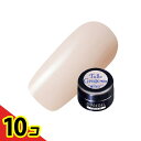 【送料無料!(地域限定)】PREGEL(プリジェル) カラーEX PG-CEN851 チュールグレージュneo 3g 10個セット