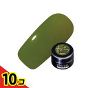 【送料無料!(地域限定)】PREGEL(プリジェル) カラーEX シアー PG-CE934 ポプラ 3g 10個セット