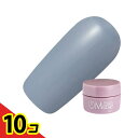 【送料無料!(地域限定)】PREGEL(プリジェル) ミューズ S271 ヴェールブルー 3g 10個セット