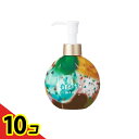 【送料無料!(地域限定)】ロレッタ ウェーブジュレ 250mL 10個セット