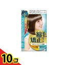 【送料無料!(地域限定)】プロカリテ 縮毛矯正セット ショート・部分用 1組入 10個セット