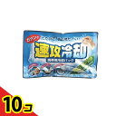 【送料無料!(地域限定)】紀陽除虫菊 速攻冷却 携帯用冷却パック 1個入 (K-2001) 10個セット
