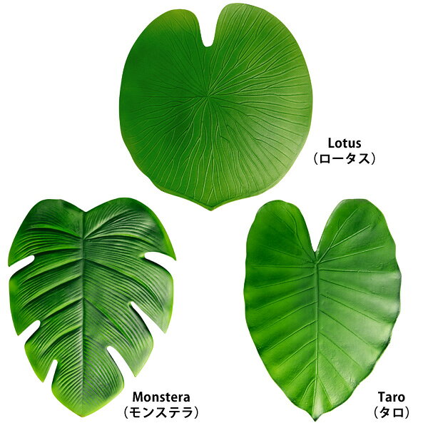 【MAX2000円OFFクーポン】リーフプレイスマット2枚セット LEAF PLACE MAT ランチョンマット リアル モンステラ タロ ロータス 葉 プレゼント 腕時計とおもしろ雑貨のシンシアの商品画像 2