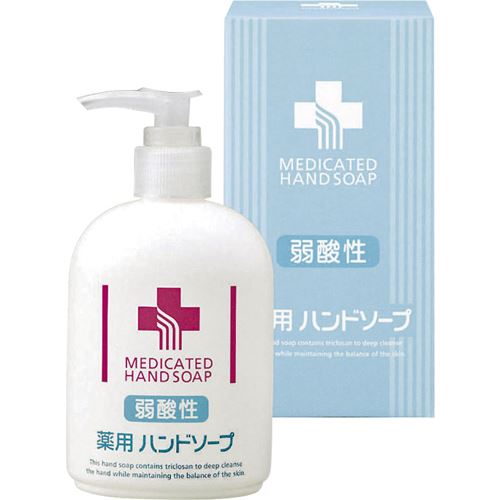 弱酸性薬用ハンドソープ250ml＜300＞お礼 引っ越し 挨