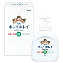 ライオン キレイキレイ薬用液体ハンドソープ250ml（箱入り）＜410＞お礼 御礼 引っ越し 挨拶 粗品 洗剤 挨拶回り 快気祝い 日用品 景品 参加賞