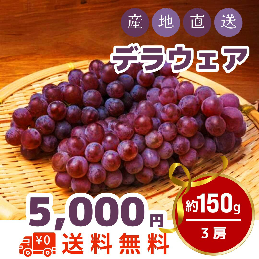 デラウェア（ぶどう）