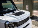 イーエスビー タフト LA900 LA910 グリルオプション アイライン 未塗装 黒ゲルコート仕上げ ESB CLS UP アップ