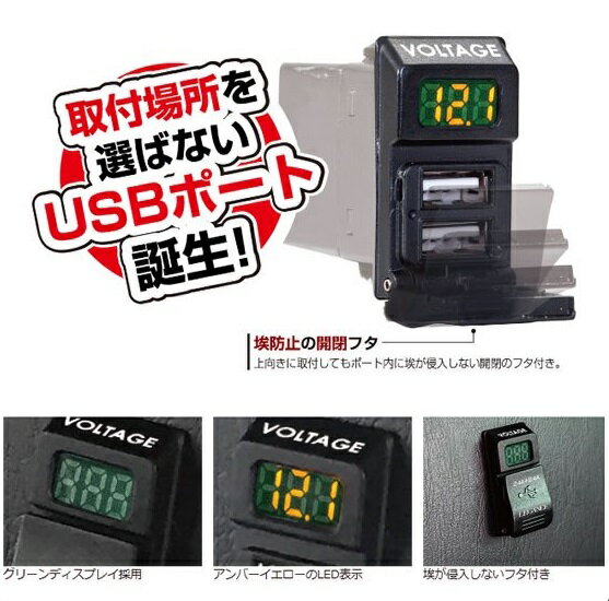 ����������� ���� VOLTAGE+USB�ݡ���5.5A j-club LEGANCE �쥬��