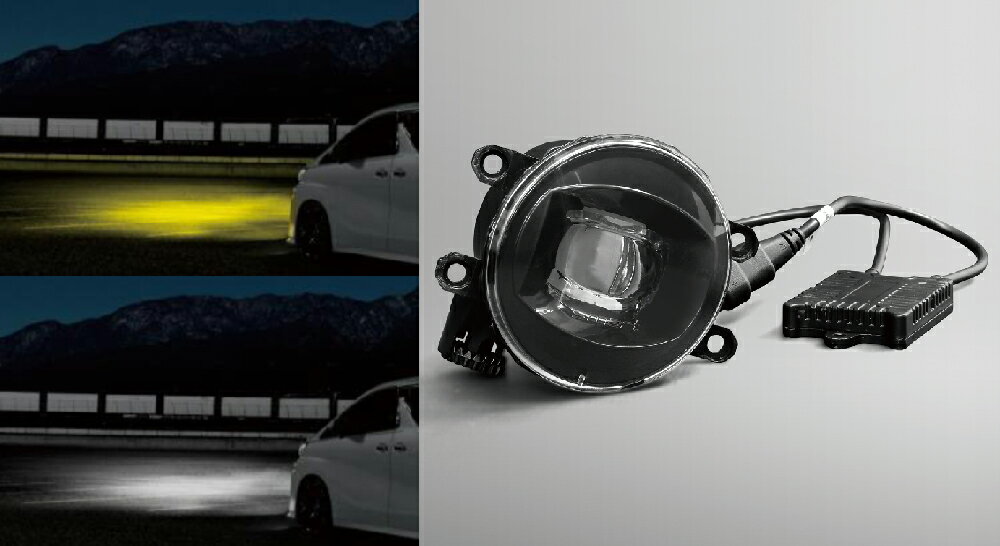 LXモード RAV4 50系 LEDフォグランプ ONE FOG LX-MODE