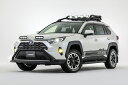 アヴァンツァーレ RAV4 MXAA54 AXAH54 サイドガードバー AVANZARE