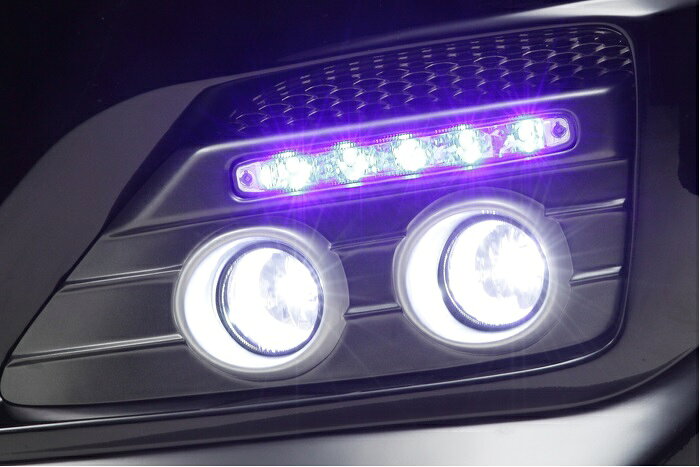 アフェクション エスティマ アエラス 50系 GSR ACR 50 55 LEDデイライト ロング PEK-LD-001 AFFECTION DESIRE デザイア