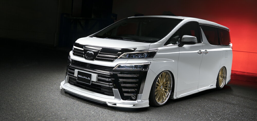 ヴァルド ヴェルファイア AYH30W AGH GGH30系 後期 LEDランプ フロントスポイラー用 WALD EXECUTIVE LINE エグゼクティブライン
