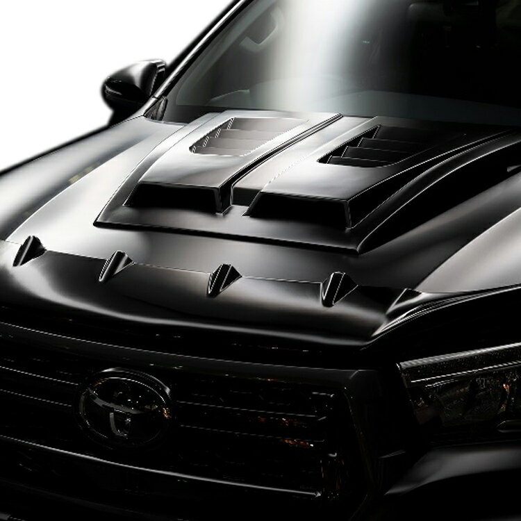 ヴァルド ハイラックス GUN125 前期 バグガード WALD SPORTS LINE BLACK BISON EDITION スポーツライン..