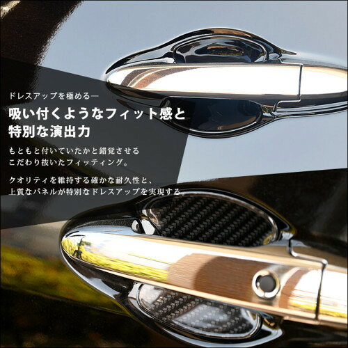 セカンドステージ WR-V DG系 ドアハンドルプロテクターパネル(カバー) アクリル（...