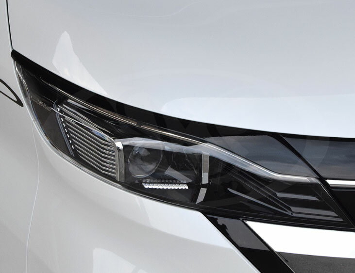 バタフライシステム ルークス ハイウェイスター B44A B45A B47A B48A 前期 アイライン 付加タイプ FRP 塗装済 Butterfly System GLANZ FLAP グランツ フラップ