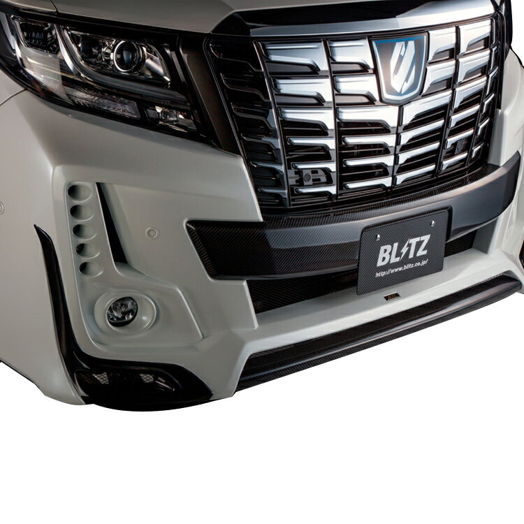 ブリッツ アルファード 30系 カーボンガーニッシュ ウェットカーボン製 未塗装 60238 BLITZ AERO SPEED..