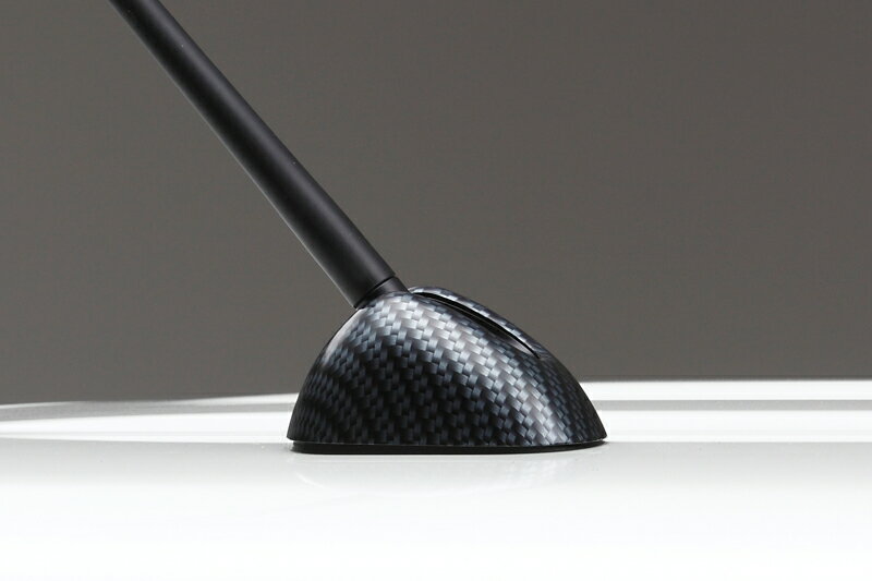 ライツ アンテナカバー ABS REIZ