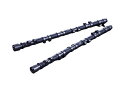 エッチケーエス マーク2 クレスタ チェイサー 等 1JZ-GTE (VVT-i用) エキゾースト カムシャフト 2202-RT078 HKS