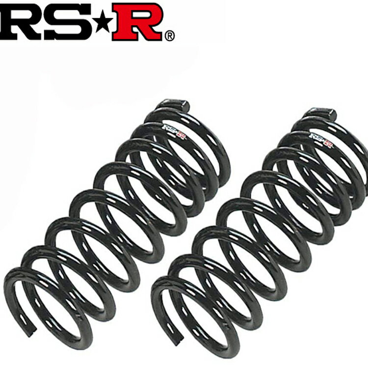 RSR デイズルークス B21A ダウンサス スプリング 1台分 N520D RS-R RSR DOWN RSR ダウン