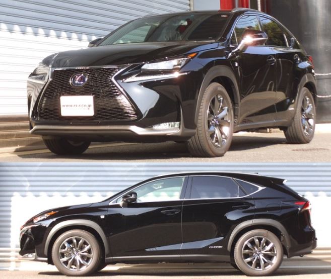 RS-R NX300h AYZ15 Fスポーツ ダウンサス スプリング フロント T533DF RSR ダウン RSR 個人宅発送追金有