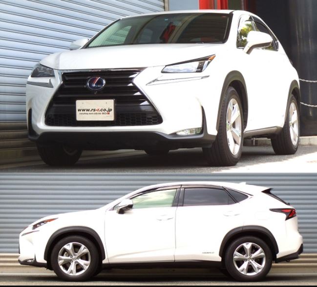 RSR NX300h AYZ15 ダウンサス スプリング フロント T533TDF RS-R Ti2000 DOWN Ti2000 ダウン