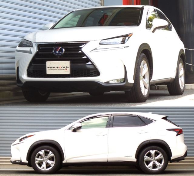 RS-R NX300h AYZ15 バージョンL ダウンサス スプリング リア T533DR RSR ダウン RSR 個人宅発送追金有