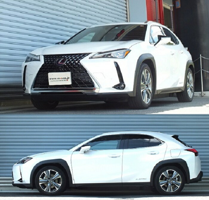 RSR UX300e KMA10 ダウンサス スプリング　フロント T309TDF RS-R Ti2000 DOWN Ti2000 ダウン