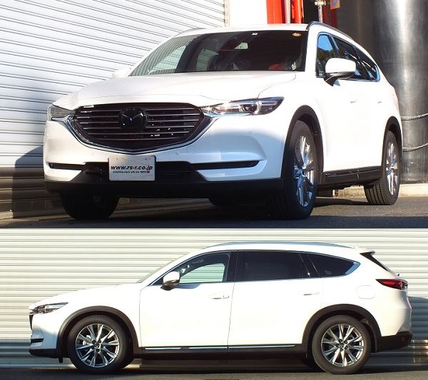 RSR CX-8 KG2P ダウンサス スプリング 1台分 M301TD RS-R Ti2000 DOWN Ti2000 ダウン 2