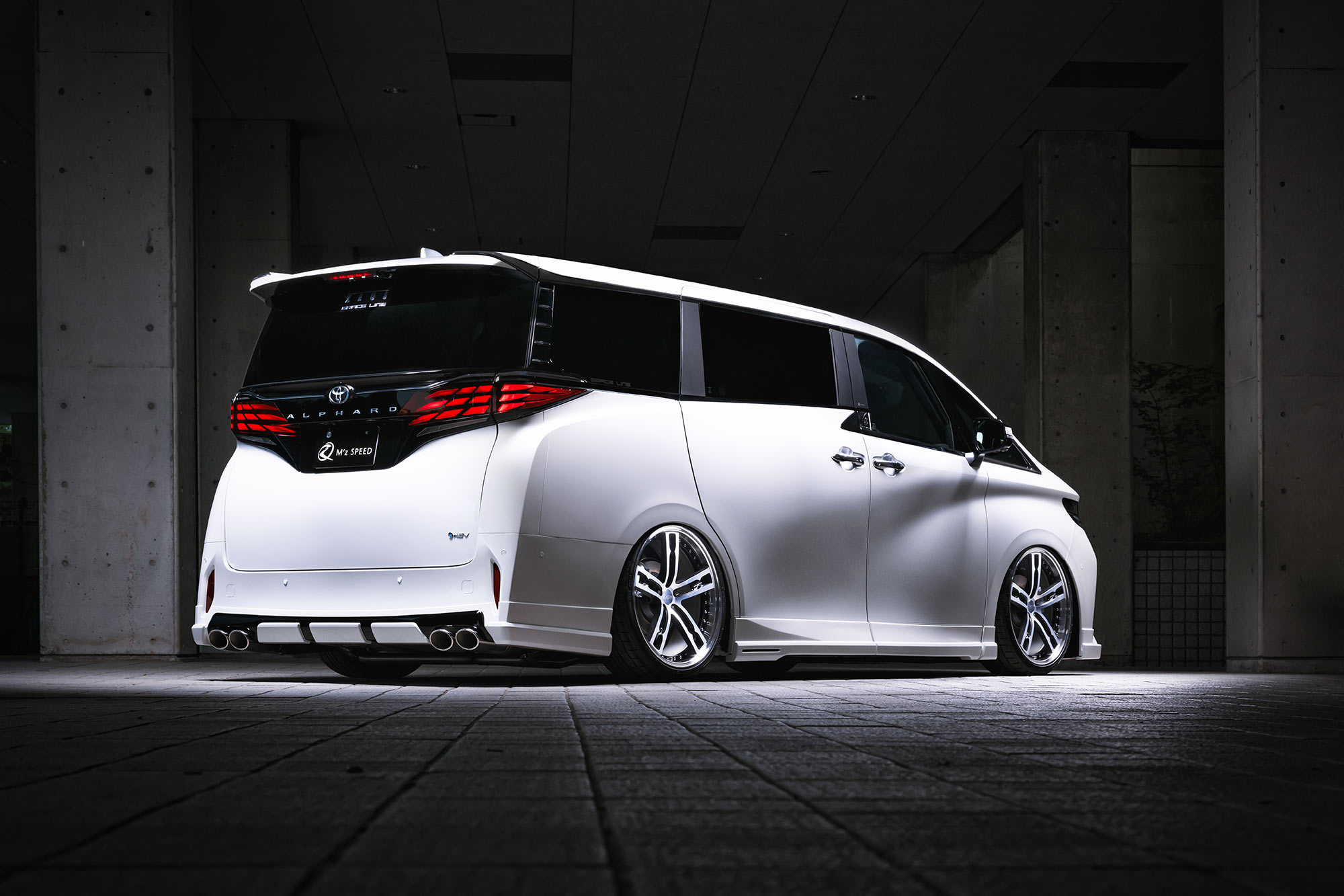 エムズスピード アルファード AAHH4#W/AGH4#W サイドステップ AES製 塗り分け塗装 3024-2110-089/3024-2110-202 M'z SPEED GRACE LINE