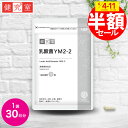 【スーパーSALE限定割引】乳酸菌YM2-2 1袋(30日分) ◆ サプリメント 健康食品 国産 植物性乳酸菌 乳酸菌 YM2-2 守り 防御 IgA抗体 おすすめ サンセリテ プレゼント