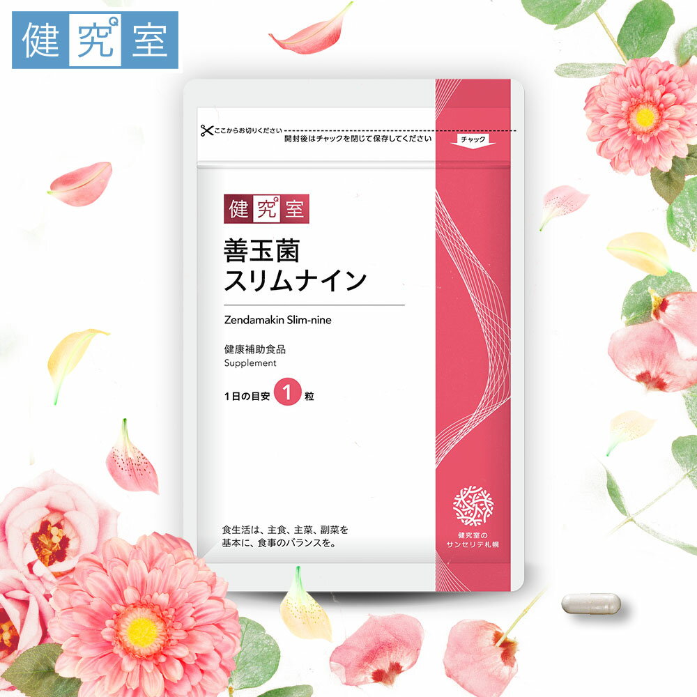 新着セール 10袋 善玉菌スリムナイン fawe.org