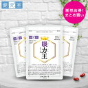 眼力王 3袋セット(90日分) 機能性表示食品 ◆ サプリメント 健康食品 国産 濃い ルテイン エイジング 目 ブルーライト ぼやけ アスタキサンチン おすすめ プレゼント サンセリテ プレゼント