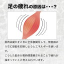 ゴルフ ソックス 靴下 ウェア メンズ レディース 着圧 吸汗 速乾 消臭 抗菌 防臭 厚手 加圧 段階着圧 スポーツ ソックス ハイソックス ソール クッション ランニング 3