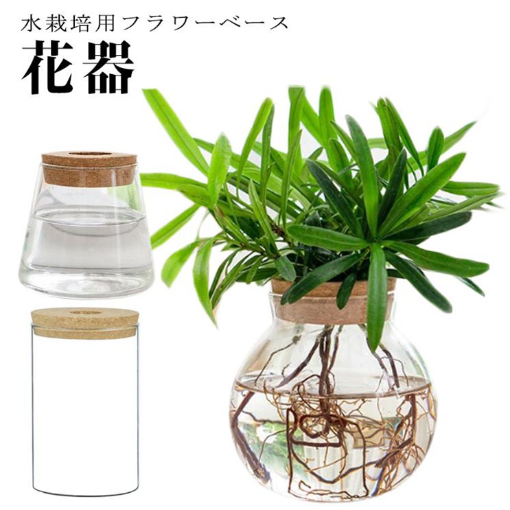 Rakuten - 水栽培 フラワーベース ガラス 花瓶 水耕栽培 ミニ インテリア おしゃれ 花器