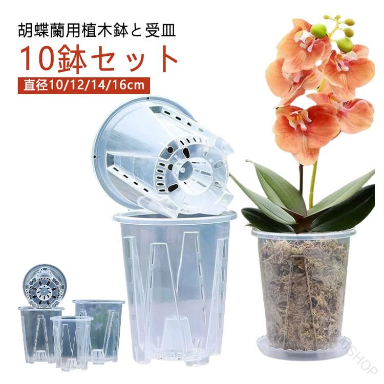 樂天商城 - 【楽天スーパーSALE】植木鉢蝶蘭蘭の鉢受皿付き穴付きプラスチック胡蝶蘭鉢洋蘭鉢透明屋外屋内対応10鉢セット胡蝶蘭の植え替え用オーキッドポッ
