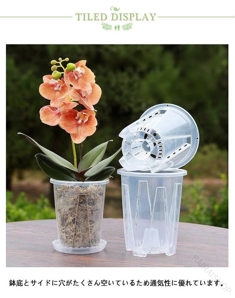 【楽天スーパーSALE】植木鉢蝶蘭蘭の鉢受皿付き穴付きプラスチック胡蝶蘭鉢洋蘭鉢...