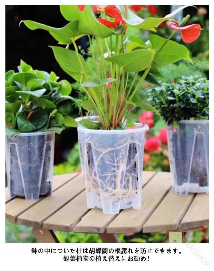 【楽天スーパーSALE】植木鉢蝶蘭蘭の鉢受皿付き穴付きプラスチック胡蝶蘭鉢洋蘭鉢...