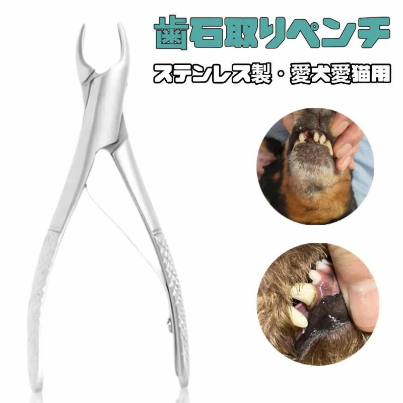 楽天市場】帝塚山ハウンドカム 愛犬用歯石取りペンチの通販