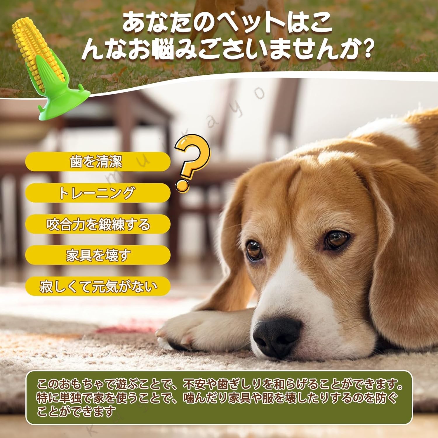 ● 商品仕様 本体サイズ： ：56*56*111MM（音がしない）、B：98*98*147MM（音がする）。重量：約200g、仕様：綿糸があり、音が出る。 素材：TPR、適用対象：小型犬～中型犬。 ●この犬用おもちゃは、歯磨き効果もあり、ペットの歯を清潔に保ち、口臭を防ぎもちゃで遊びながら、口の中の健康を守ることができます。 ● 独特な外観 表面の凸凹加工により噛み応えのある犬用おもちゃです。可愛らしいトウモロコシデザインに仕上げました。トウモロコシのひげを模した部分はロープになっているため、噛むだけでなく引っ張って遊べます。小型犬、中型犬、大型犬を問わず、犬の興味をより簡単に刺激できます。 ● 音を出す設計 本体は空洞で柔らかく、押すと音が鳴る仕組みです。噛む度に楽しい音が鳴るのでより遊ぶ意欲を刺激します。一人遊びはもちろん、飼い主さんが投げてワンちゃんが拾って来るといった遊びも可能です。 ● 実用性高い機能 日頃から噛む遊びをすることで自然とデンタルケアに繋がります。運動不足やストレスを解消できる一石二鳥のアイテムは、小型犬～大型犬まで幅広い犬種に対応しています。 ● 犬のお気に入り ペットの噛みたい欲求を満たし、興味を刺激し、ペットの幸福度を高めるために継続的に使用できる犬用おもちゃです。 ● 安全 無毒 高温や腐食に強いPP素材を使用しており、無毒無味で長期間使用でき、環境にやさしくペットには非常に安全です。犬の歯の健康や多動症などの問題防止のために、適切な歯磨き道具を選ぶことで、ペットの精力を 限に解放し、歯の健康を保証することができます。 ● ご注意 本製品は高品質のゴム素材を採用しております。 ただし、ピットブル、ブルドッグ、土佐犬、ナポリタン・マスティフ、ジャーマン・シェパード、チベタン・マスティフ、ロットワイラーなど、特に噛む力が強い攻撃的な犬種には適さない場合があります。 ご注意 ※測る位置によって、±1～2cmの誤差が生じる場合がございます。 ※掲載の商品画像と実際の色は、室内、室外での撮影の状況、モニターの表示等により若干異なる場合がありますので、ご了承ください。 ※製品の仕様は品質の向上・改善のため、予告なく変更となる場合があります。 ※海外輸入品のため、輸送・検品時に汚れやキズがつく場合がございます。ご使用に支障のない程度につきましてはご了承ください。 ※エコの観点から簡易包装を行っております。商品によっては外箱に直接伝票を貼り付けて発送することがございます。ラッピング包装は承っておりません。ご了承ください。