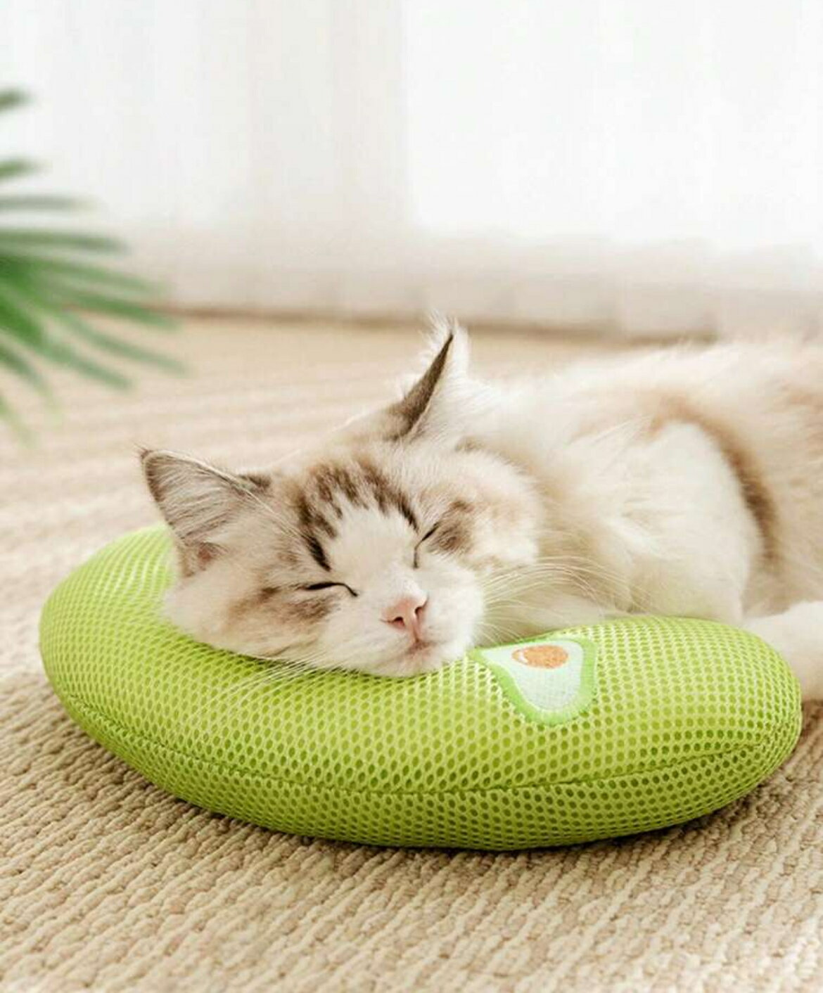 ���å���� �ڥå��� �ޤ��� �� ��/ǭ �����Τ��� �ڥåȥ٥å� �դ�դ� �̵��� ����ˤ��� �Ķ���ͥ���� ȩ������ɤ� 7.5kg�ޤ�Ŭ��