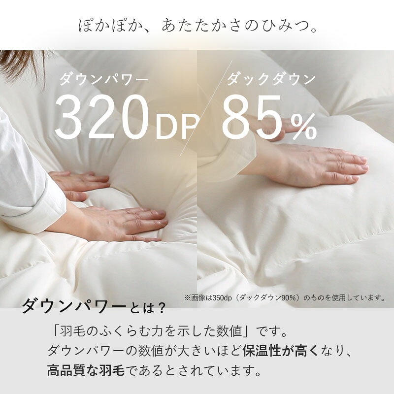 日本製 布団 羽毛布団 シングル S 150 210 ホワイトダックダウン 85% 掛け布団 本掛け ダウンパワー 320 ふとん 冬 掛布団 防ダニ アレルギー 綿 国産 高級 抗菌 防臭 軽量 保温力 おすすめ おしゃれ 北欧 シンプル 寝具 暖かい 冬用 春 通気性 フェザー ベッド 羽毛 羽根 singlelife-10025461 ザッカグマート 家具と雑貨 サンプル画像3