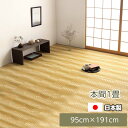 カーペット 長方形 日本製 国産 完成品 本間1畳(約95.5×191cm) い草調 ラグ 国産 洗えるイ草調 PP カーペット 長方形 上敷 い草調ラグ いぐさ調 ござ 茣蓙 ポリプロピレン 水拭き 水洗い 夏用 レジャーシート 暑さ対策 ござ 除菌スプレー対応 丈夫 敷詰